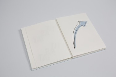 Künstlerbuch | Artists' book: Lawrence Weiner. TIT AS TAT (Three Star Books 2013)